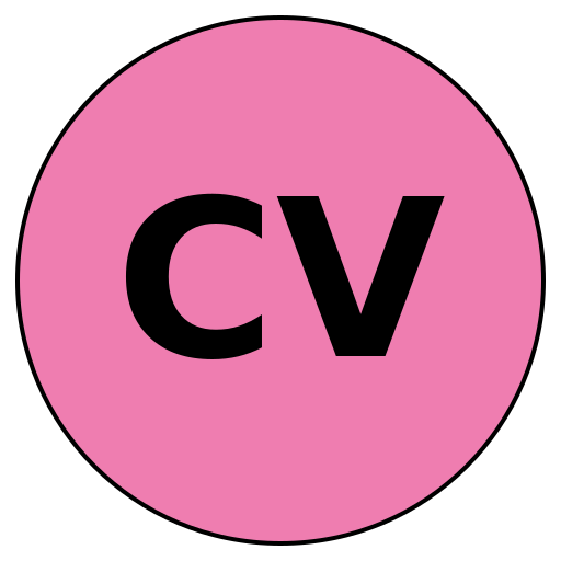CareerVoyager
